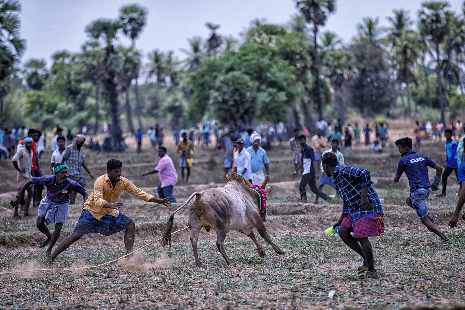 414 | Tamil Nadu 2022 | Manjuvirattu